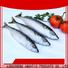 Latest frozen pacific mackerel fish round