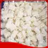 clean frozen whole squid tube Suppliers for hotel