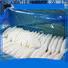 LongSheng illex frozen cuttle fish whole round for cafeteria