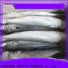 LongSheng gutted frozen grey mullet fish manufacturers for restaurant
