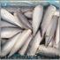 LongSheng bulk purchase frozen mackerel for sale