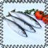 professional frozen chub mackerel hgt for business for market