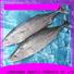 LongSheng bonito frozen fish companies Suppliers for lunch