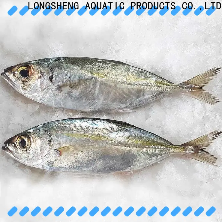LongSheng Top frozen whole round horse mackerel Suppliers for cafe