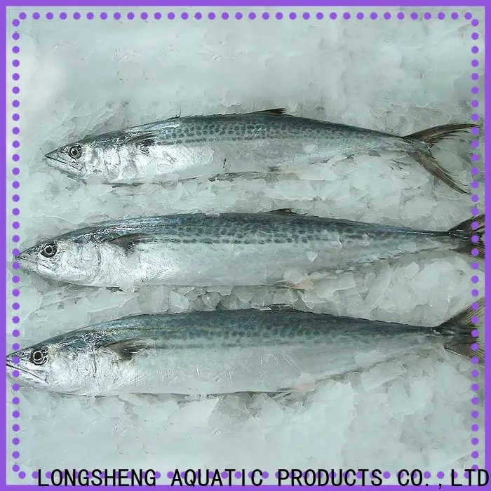 LongSheng bulk buy spanish mackerel for sale manufacturers for seafood market