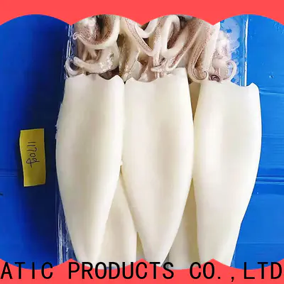 Wholesale frozen squid loligo suppliers cuttlefish for business for cafeteria