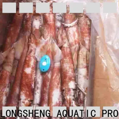 LongSheng squid squid supplier for restaurant