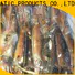 LongSheng chinese frozen illex squid for sale for cafeteria