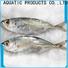 LongSheng Top horse mackerel fish frozen for business for restaurant