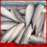 bulk purchase frozen mackerel prices frozen manufacturers for market