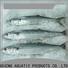 LongSheng technical frozen fish supplier manufacturers for seafood market