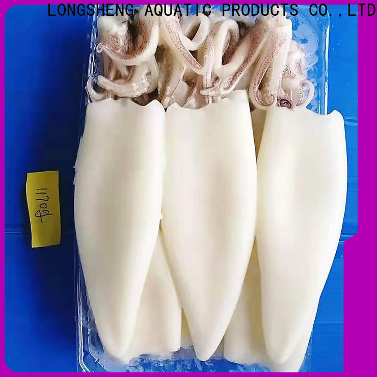 LongSheng loligo frozen whole uncleaned squid for cafeteria