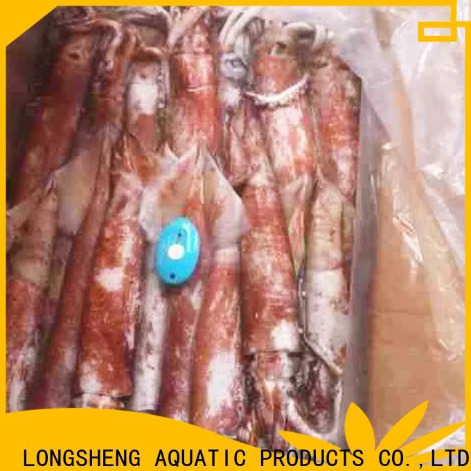 bulk purchase frozen loligo squid illex factory for restaurant