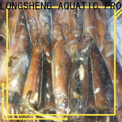 LongSheng squid squid for sale factory for cafeteria