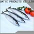 Top mackerel hgt whole for restaurant