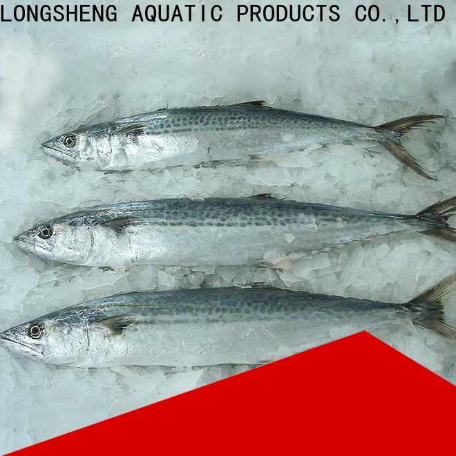 Wholesale frozen spanish mackerel fillets roundfrozen Suppliers for seafood shop