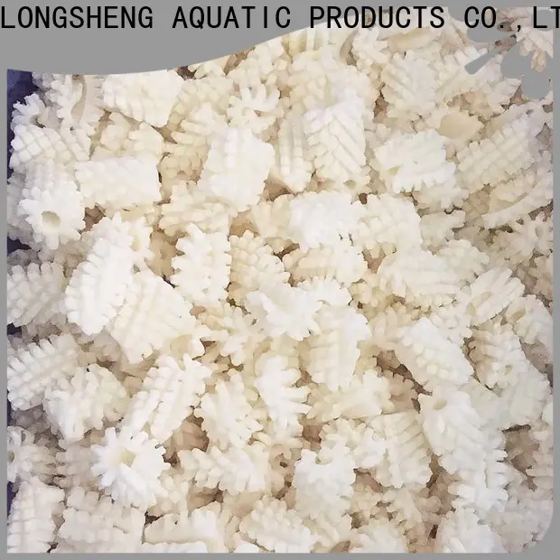 LongSheng fish squid frozen factory for hotel
