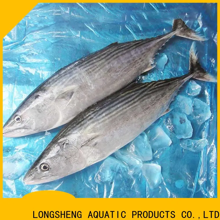 popular wholesale frozen fish suppliers tuna for family