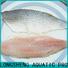 reliable frozen at sea fish suppliers mullet manufacturers for restaurant