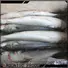 LongSheng reliable frozen mullet fish Supply for hotel
