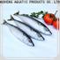 LongSheng fish frozen mackerel fillets suppliers company for supermarket