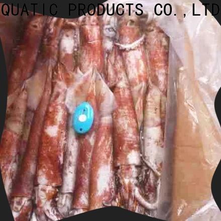 LongSheng cuttlefish frozen loligo squid Suppliers for cafe