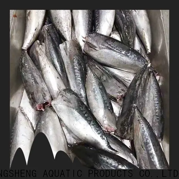 bulk buy frozen bonito fish prices hgt for seafood shop