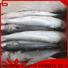 LongSheng bulk buy frozen grey mullet fish Suppliers for hotel