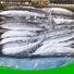 clean frozen seafood wholesale saurycololabis company for cafe