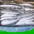 clean frozen seafood wholesale saurycololabis company for cafe