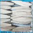 bulk buy spanish mackerel for sale frozen for market