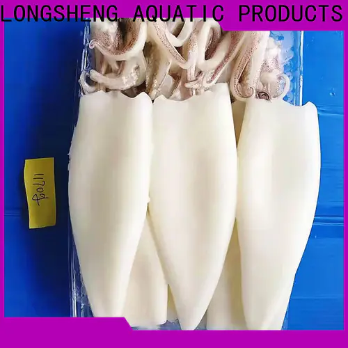 LongSheng healthy frozen squid whole manufacturers for hotel