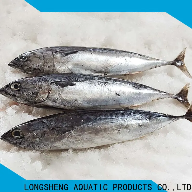 LongSheng wholesale bonito fish price for business for seafood shop