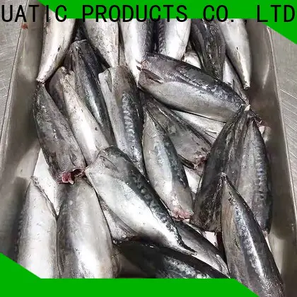 LongSheng wholesale frozen bonito fish for sale factory for supermarket
