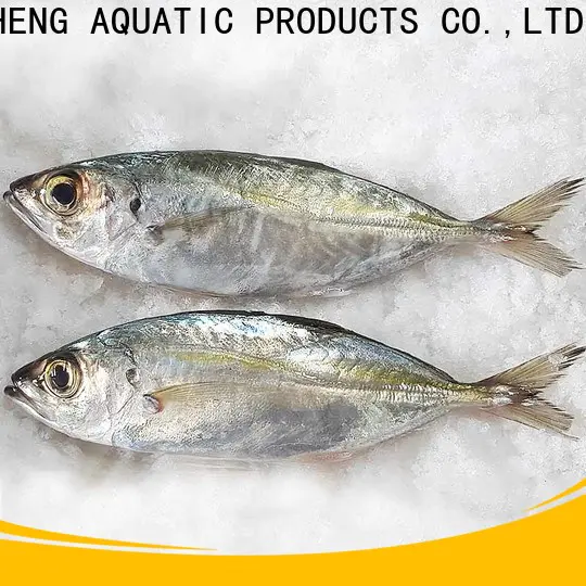 bulk buy wholesale frozen fish prices mackerel manufacturers for cafe