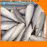 LongSheng Wholesale mackerel for sale for business