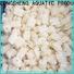 clean frozen squid whole round cuttlefish manufacturers for cafeteria