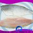 LongSheng fillet frozen mullet fish Suppliers for market