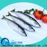 bulk buy frozen mackerel for sale hgt for supermarket