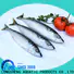 bulk buy frozen mackerel for sale hgt for supermarket