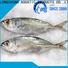 healthy frozen fish factory whole manufacturers for cafeteria