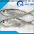 healthy frozen fish factory whole manufacturers for cafeteria