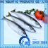 LongSheng fillet mackerel frozen Supply for supermarket
