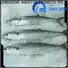 LongSheng High-quality spanish mackerel fish price manufacturers for seafood shop