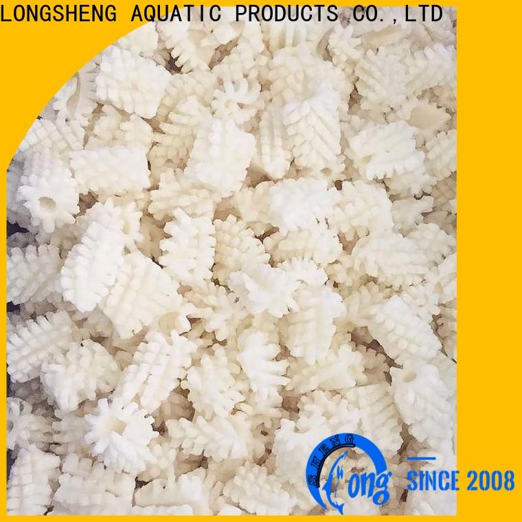 LongSheng cuttlefish frozen whole round squid company for cafeteria