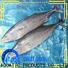 LongSheng tuna wholesale frozen fish suppliers for party