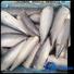 bulk purchase frozen mackerel fish price fillet manufacturers for supermarket