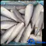 bulk purchase frozen mackerel fish price fillet manufacturers for supermarket