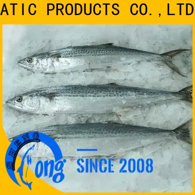 Wholesale frozen spanish mackerel for sale mackerel for market