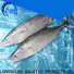 LongSheng Latest frozen bonito tuna company for family